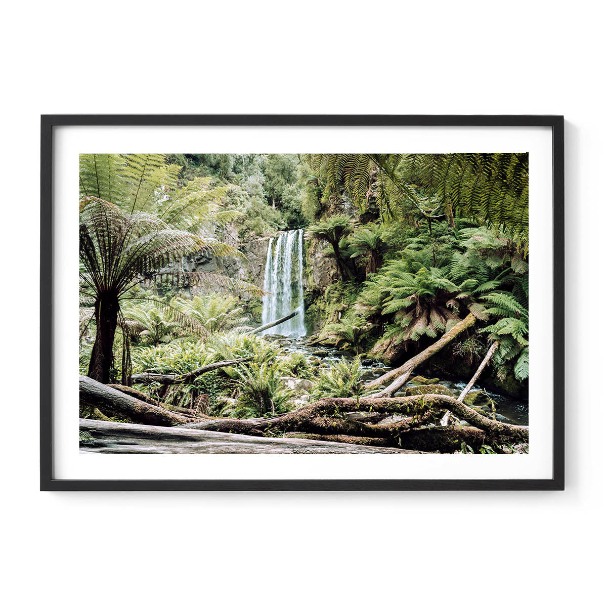Ancient Forrest | Nature Waterfall Photo Print Art | Frame Chasers ...