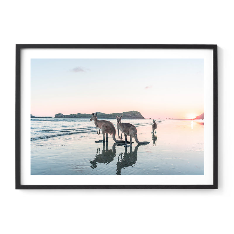 Aussie Classics - Cape Hillsborough