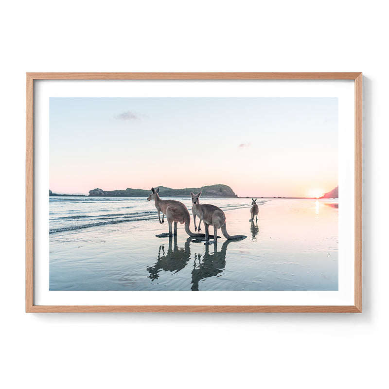 Aussie Classics - Cape Hillsborough