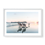 Aussie Classics - Cape Hillsborough