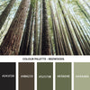 Redwoods