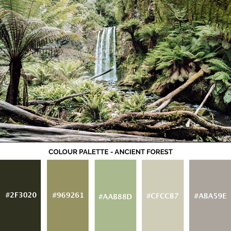 Ancient Forest